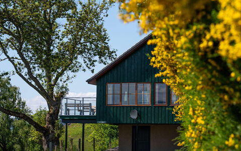 Drumnadrochit 121: Plante, Ciel, Propriété, Bâtiment, La Nature, Feuille, Paysage Naturel, Fleur, Arbre, Jaune
