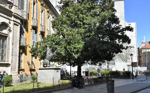 Brera Terrace Apartment: Ciel, Plante, Nuage, La Nature, Arbre, Paysage Naturel, Lot Terre, Paysage, Loisir, Herbe