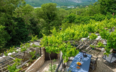 Dvor: Plante, Ciel, Communauté Des Plantes, Paysage Naturel, Arbre, Herbe, Agriculture, Couverture De Sol, Paysage, Arbuste