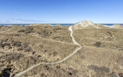 Solunka - 100M from the Sea