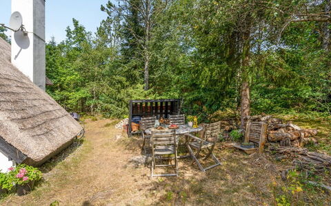 Olaf - 1.4Km from the Sea: Végétation, Arbuste, Lot Terre, Chalet, Zone Rurale, Jardin, À Déchaumer, Ombre, Arrière-Cour, Village
