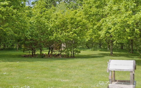 Hailka: Feuille, Arbre, Vert, Environnement Naturel, Herbe, Branche, Végétation, Arbuste, Prairie, Communauté Des Plantes