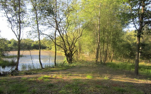 Wilmer - 40Km from the Sea: Toit, Domicile, Porte, Chalet, Ombre, Siding, Cour, Biens, Arrière-Cour