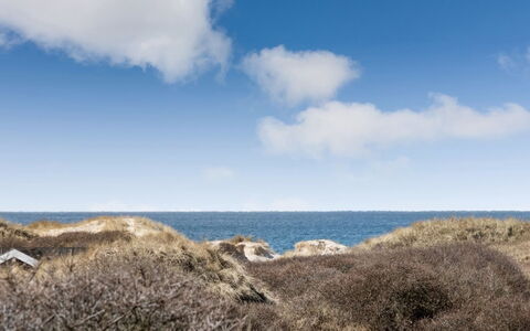Ritha - 350M from the Sea: Bois, Toit, Architecture, Domicile, Maison, Chalet, Siding, Dur, Pente, Biens