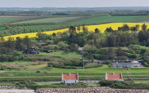 Aranja - 300M to the Fjord: Vert, Herbe, Paysage, Zone Rurale, Prairie, Maison, Lot Terre, Plaine, Champ
