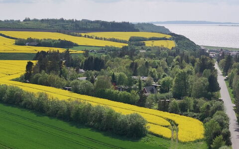 Aranja - 300M to the Fjord: Vert, Paysage Naturel, Paysage, Champ, Prairie, Plaine, Lot Terre, Plantation, Zone Rurale, Agriculture