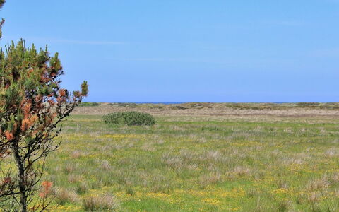 Annick - 300M from the Sea: Bleu, Arbuste, Chalet, Couverture De Sol, Jardin, Biens, Ombre, Aménagement Paysager, Ferme, Eco Hôtel