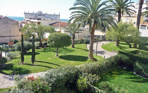 Riviera Park: Végétation, Arbre, Propriété, Vert, Herbe, Jardin, Palmier, Pelouse, Zone Résidentielle, Botanique