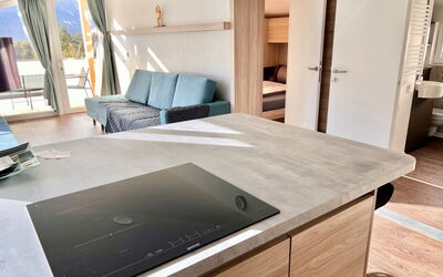 Logement:&nbsp;Skylight Chalet 501.2