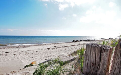Salme - 100M from the Sea: Bleu, Arbuste, Chalet, Couverture De Sol, Jardin, Biens, Ombre, Aménagement Paysager, Ferme, Eco Hôtel