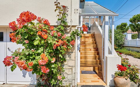 Janomaine: Fleur, Plante, Propriété, Bâtiment, Pot De Fleur, Orange, Fenêtre, Porte, Surface De La Route, Escaliers