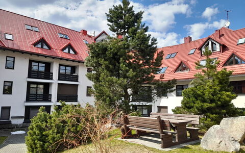 Nový Svět 562: Plante, Nuage, Ciel, Bâtiment, Fenêtre, Extérieur Banc, Lot Terre, Herbe, Design Urbain, Maison