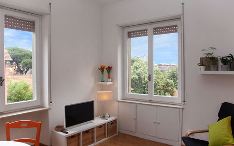 Monte Sacro: Plante, Propriété, Fenêtre, Meubles, Plante D'Appartement, Bois, Ombre, Confort, Pot De Fleur, Design Intérieur
