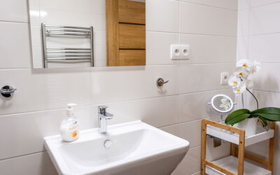 Logement:&nbsp;Forest & Sauna 250.2