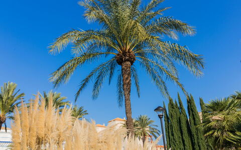 Cala Blanca Denia: Table, Plante, Bâtiment, Ciel, Nuage, Bois, Porche, Ombre, Design Intérieur, Chaise