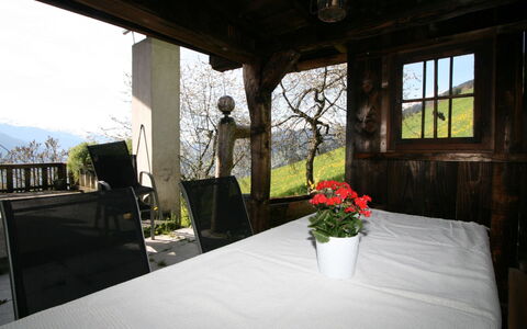 Tom: Fleur, Plante, Table, Propriété, Fenêtre, Bâtiment, Pot De Fleur, Chaise, Maison, Ombre