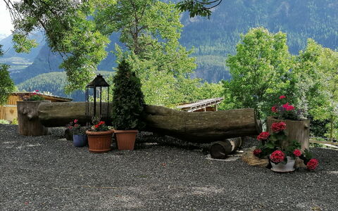Ferienwohnung Plattner: Plante, Pot De Fleur, Arbre, Plante D'Appartement, Fleur, Bois, Montagne, Paysage, Surface De La Route, Herbe