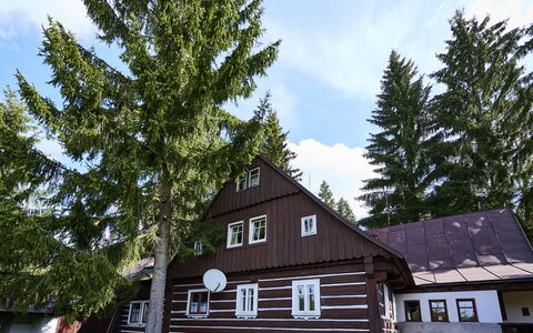 Mountain Serenity & Sauna: Nuage, Ciel, Bâtiment, Plante, Propriété, Fenêtre, Maison, Arbre, Bois, Mélèze