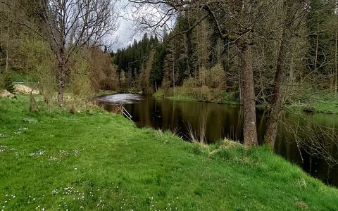 Reiter: Plante, L'Eau, Paysage Naturel, Lot Terre, Arbre, Cours D'Eau, Herbe, Banque, Riparienne