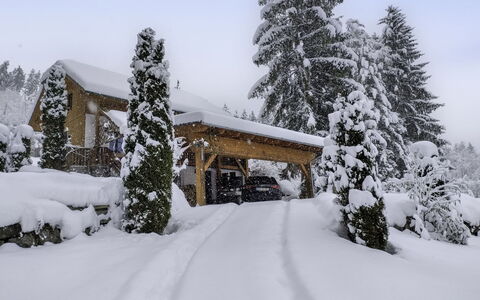 Reiter: Neige, Arbre, L'Hiver, Branche, Maison, Domicile, Chalet, Gelé, Géologique Phénomène, Mélèze