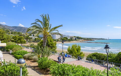 Eurhostal - Seaview: Ciel, L'Eau, Plante, Nuage, Paysage Naturel, Arecales, Arbre, Cotiers Et Relief Océaniques, Plage, Loisir