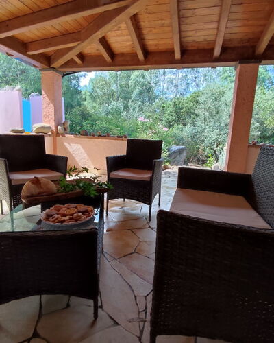 Relax: Meubles, Propriété, Plante, Table, Bois, Ombre, Mobilier De Jardin, Design Intérieur, Chaise, Arbre