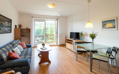 Logement:&nbsp;Sluneční Stráň Iii 100.2