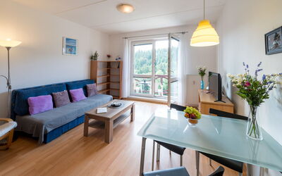 Logement:&nbsp;Sluneční Stráň Iv 100.3