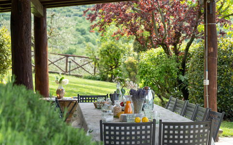 Villa Castelluccio - Arezzo, Toscana: Plante, Botanique, La Nature, Table, Éclairage, Architecture, Arbre, Ombre, Herbe, Biome