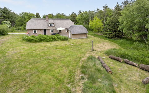 Osmo - 900M from the Sea: Herbe, Prairie, Paysage, Écorégion, Plaine, Communauté Des Plantes, Lot Terre, Mobilier De Jardin, Prairie, Formations Arbustives