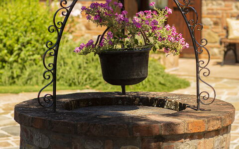 Casa Vacanze Paradiso: Fleur, Plante, Pot De Fleur, Bois, Police De Caractère, Herbe, Métal, Jardin, Plante Annuelle, Aménagement Paysager