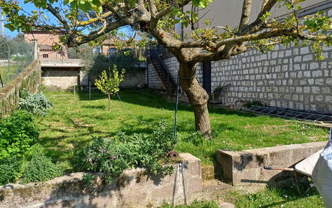 Casa Della Selce: Plante, Arbre, Branche, Lot Terre, Fenêtre, Maison, Herbe, Biome, Tronc, Suppression Des Plantes Ligneuses