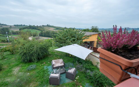 Casa dei Nonni: Plante, Ciel, Nuage, Communauté Des Plantes, Bois, Végétation, Mobilier De Jardin, Lot Terre, Fenêtre, Bâtiment