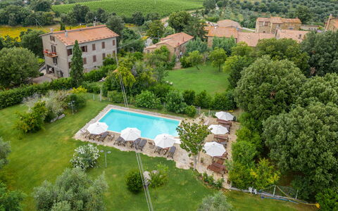 Cinigiano 250: Plante, Communauté Des Plantes, Bâtiment, Arbre, Piscine, Fenêtre, Paysage Naturel, Lot Terre, Design Urbain, L'Eau