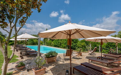 Logement:&nbsp;Carola 250.2