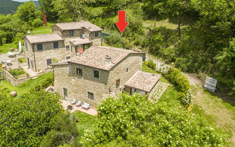 Casa Bosco D'arte Holiday Home , Greve In Chianti,: Bâtiment, Plante, Vert, Arbre, Paysage Naturel, Lot Terre, Maison, Fenêtre, Herbe, Couverture De Sol