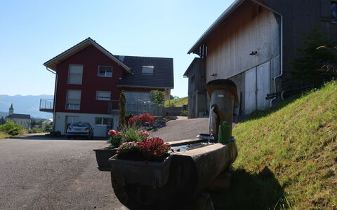 Luxenweid: Plante, Ciel, Fenêtre, Bâtiment, Pot De Fleur, Maison, Lot Terre, Chalet, Zone Résidentielle, Herbe