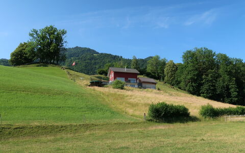 Luxenweid: Ciel, Plante, Arbre, Paysage Naturel, Pente, Nuage, Herbe, Prairie, Maison, Montagne
