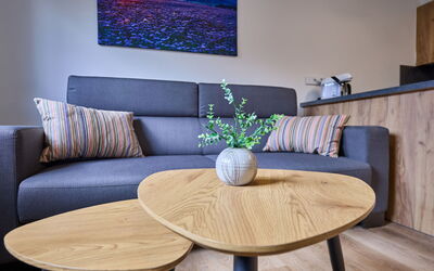 Černý Důl 20.2: Table, Meubles, Canapé, Propriété, Rectangle, Design Intérieur, Cadre, Canapé-Lit, Bois, Salon