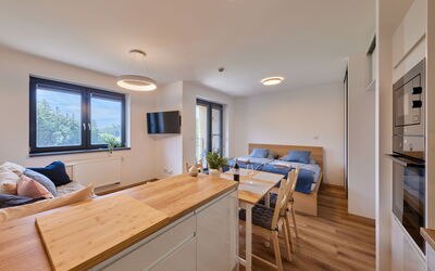 Logement:&nbsp;Černý Důl 20.1