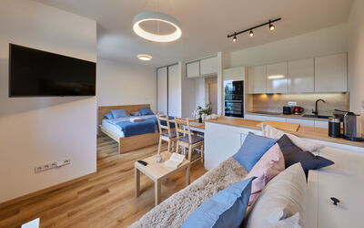 Logement:&nbsp;Černý Důl 20.1