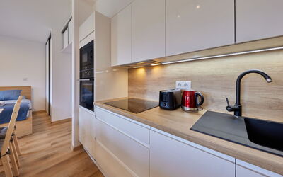 Logement:&nbsp;Černý Důl 20.1