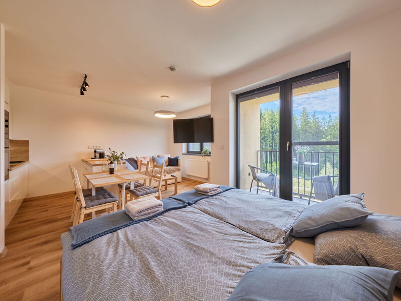 Logement:&nbsp;Černý Důl 20.1