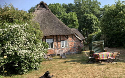 Reethuus: Bâtiment, Plante, Propriété, Ciel, Fenêtre, Maison, Paysage Naturel, Arbre, Lot Terre, À Déchaumer