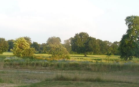 Reethuus: Ciel, Plante, Nuage, Arbre, Paysage Naturel, Herbe, Plaine, Prairie, Paysage, Route