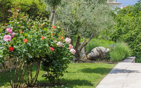 Villa Anita: L'Eau, Ciel, Bâtiment, Plante, Propriété, Piscine, Bleu Azur, Arbre, Fenêtre, Maison