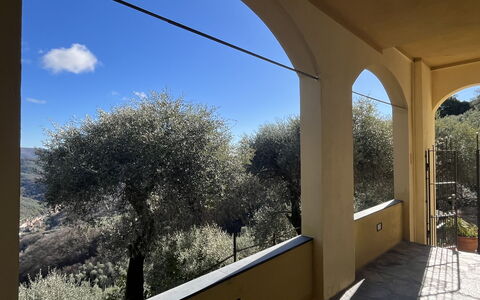 Casa Norvegia: Balcon, Balustrade