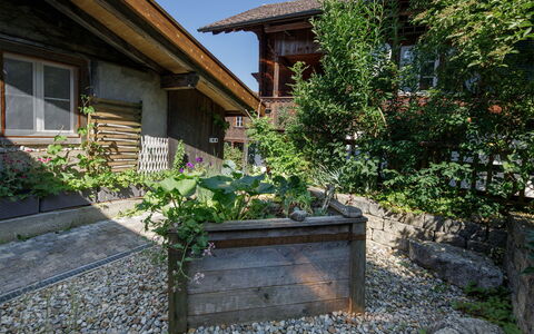 Brienzwiler 125: Arbuste, Maison, Jardin, Chalet, Couverture De Sol, Arrière-Cour, Aménagement Paysager, Cour, Pot De Fleur