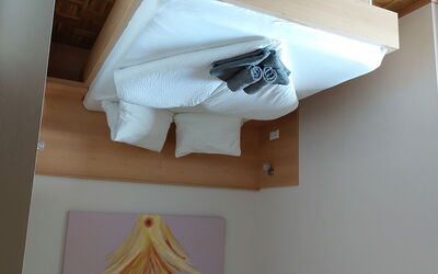 Logement:&nbsp;Tulpe 37.5