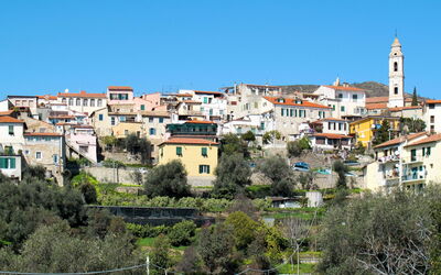 Terzorio 619